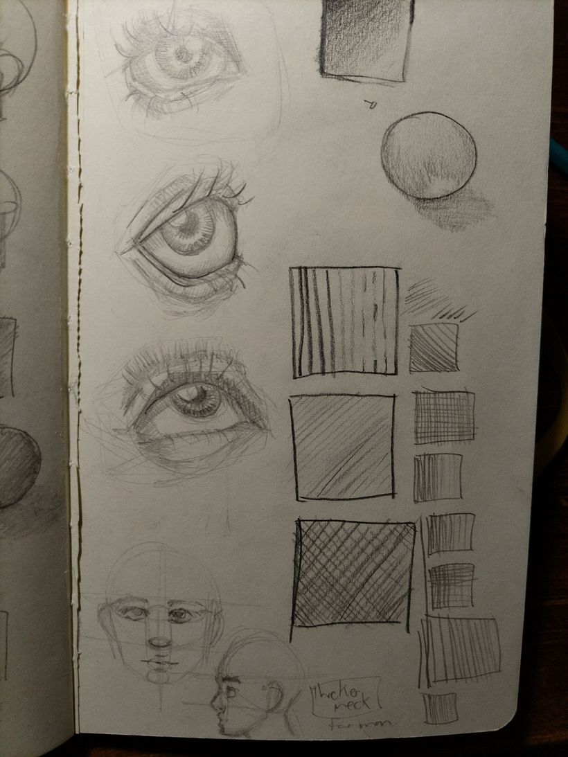 Mi proyecto del curso: Sketchbook de retrato: explora el rostro humano 3