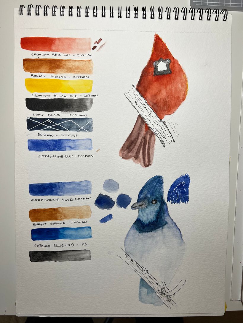 Pigment Selection and Practice Run