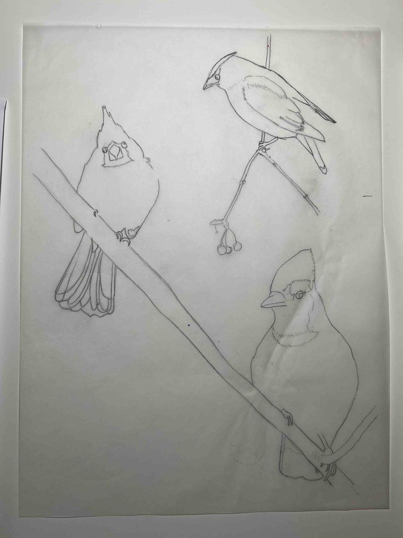Tracing