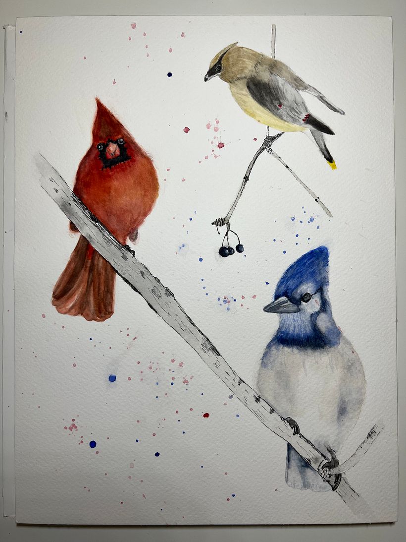 My project for course: Artistic Watercolor Techniques for Illustrating Birds 6