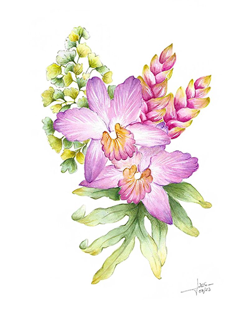 Proyecto Orquídeas y bromelias