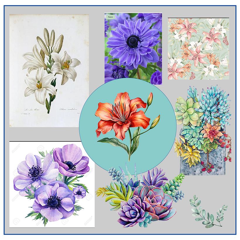 Moodboard de inspiración