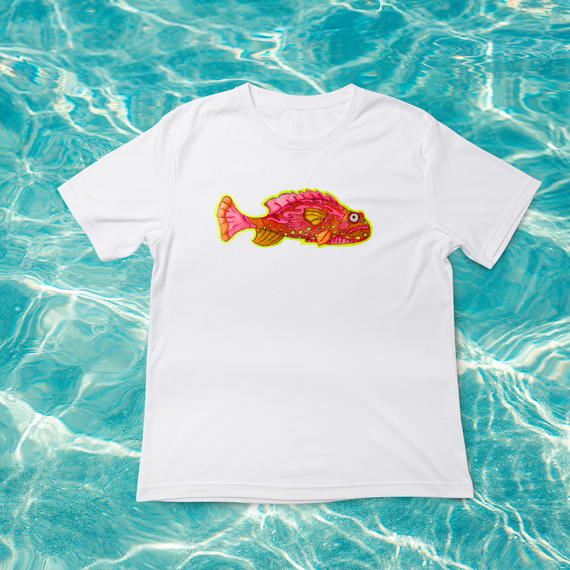 This is Stone fish. He is quick to spook and also doesn't like the texture of water. 