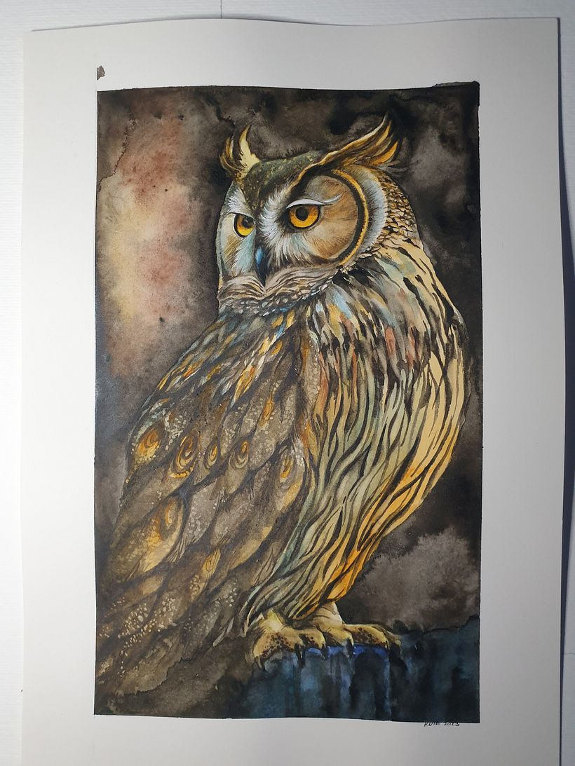 Il mio progetto del corso: Illustrazione scientifica di animali ad acquerello 1