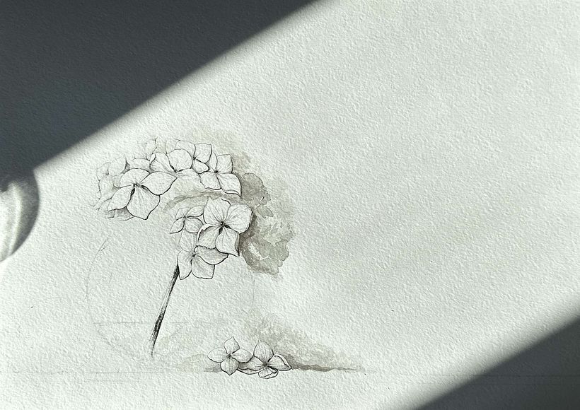My project for course: Contemporary Botanical Illustration with Ink 10