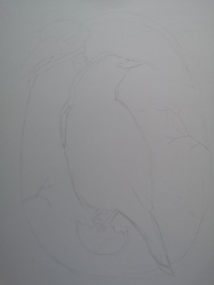 My project for course: Realistic Illustration of Birds with Imaginative Elements 2