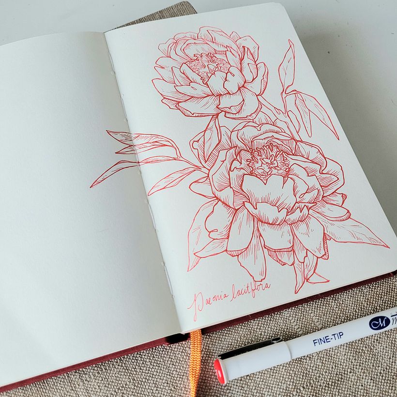 My project for course: Botanical Sketchbooking: A Meditative Approach 1