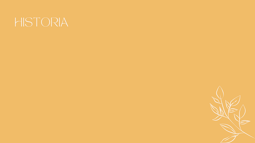 Mi proyecto del curso: Canva de 0 a 100: crea diseños de forma profesional 3
