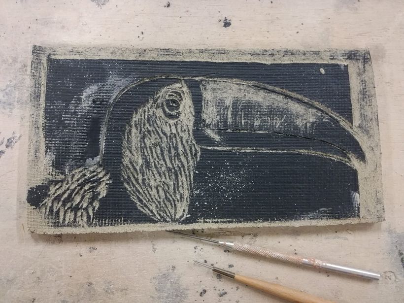 Toucan