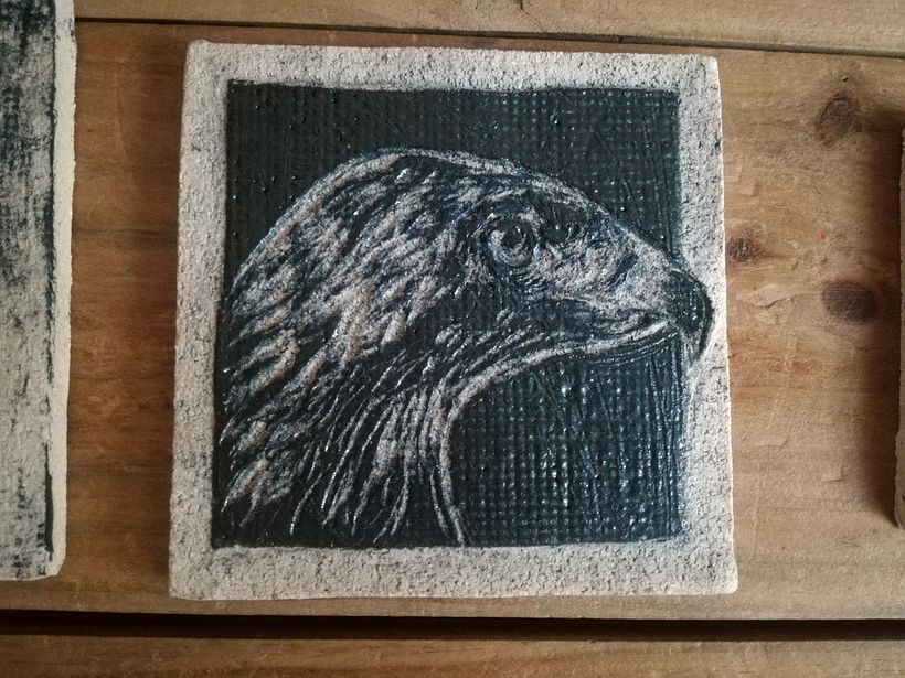mon aigle cuit