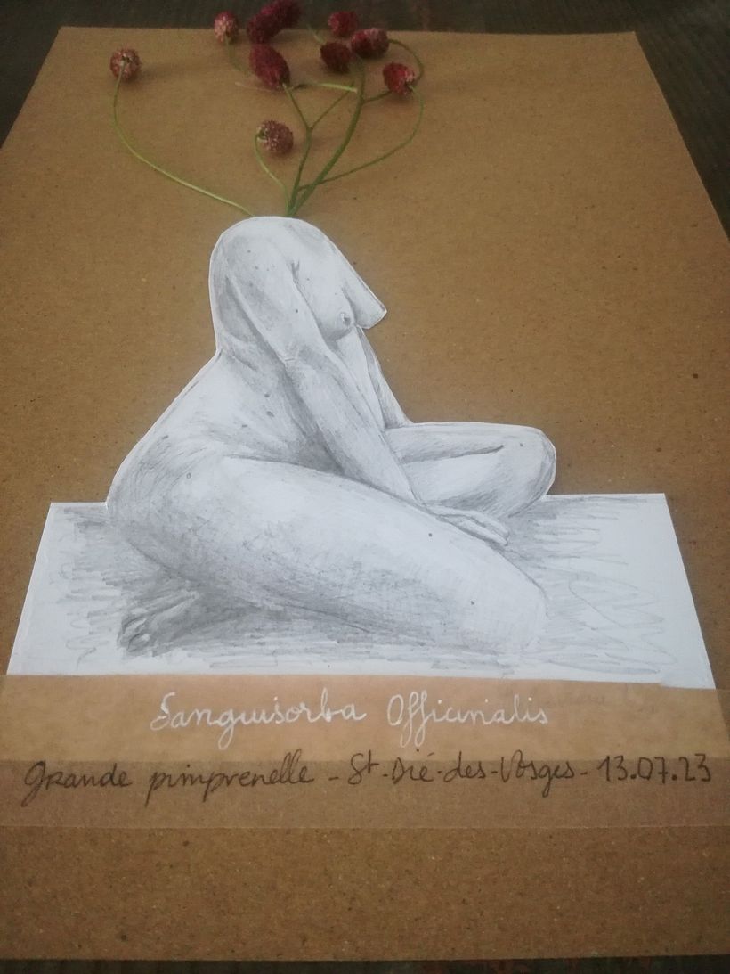 Herbier humain_projet résilience 8