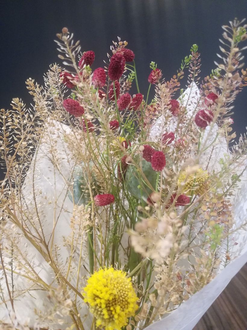 Herbier humain_projet résilience 6