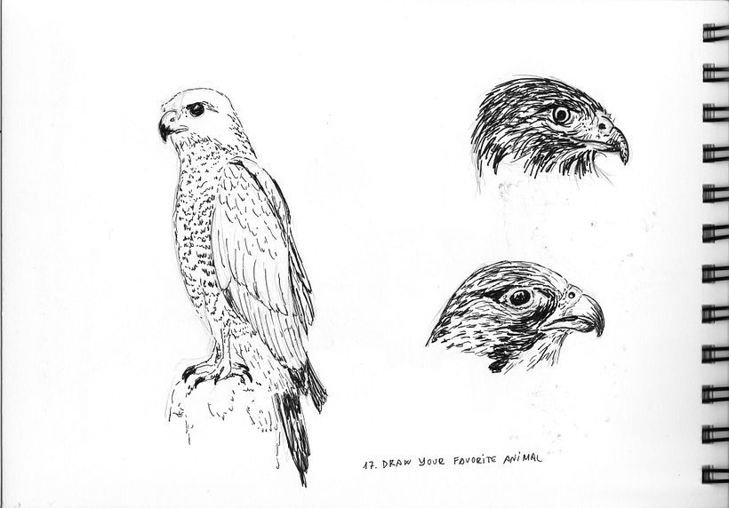My project for course: Daily Sketching for Creative Inspiration 8