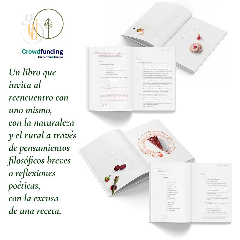 Reposterapia, HaiCook y una receta como excusa 4