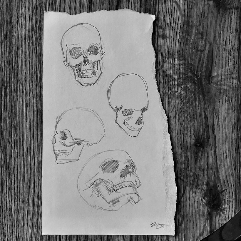 My project for course: Figure Drawing: The Human Head 3