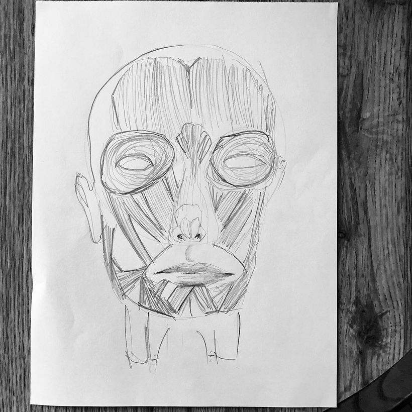 My project for course: Figure Drawing: The Human Head 4