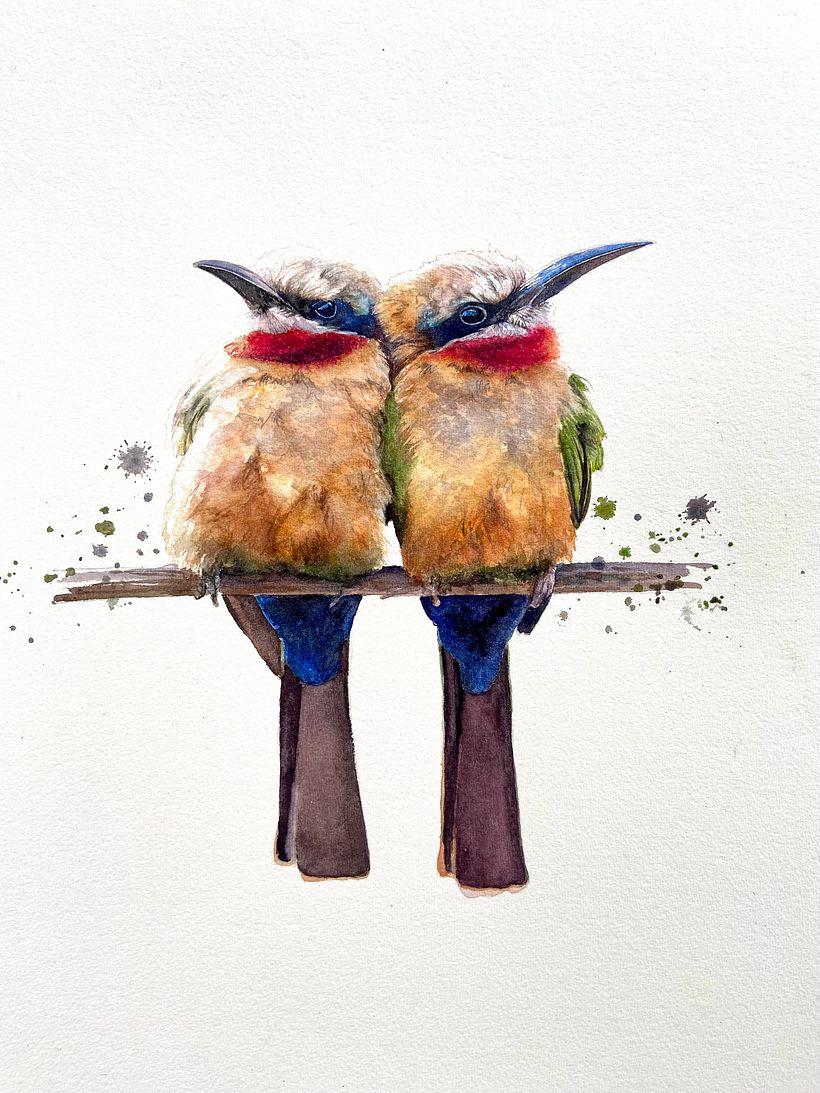 Next year I’ll be hosting art retreats in Africa so hoping to see these birds for real!