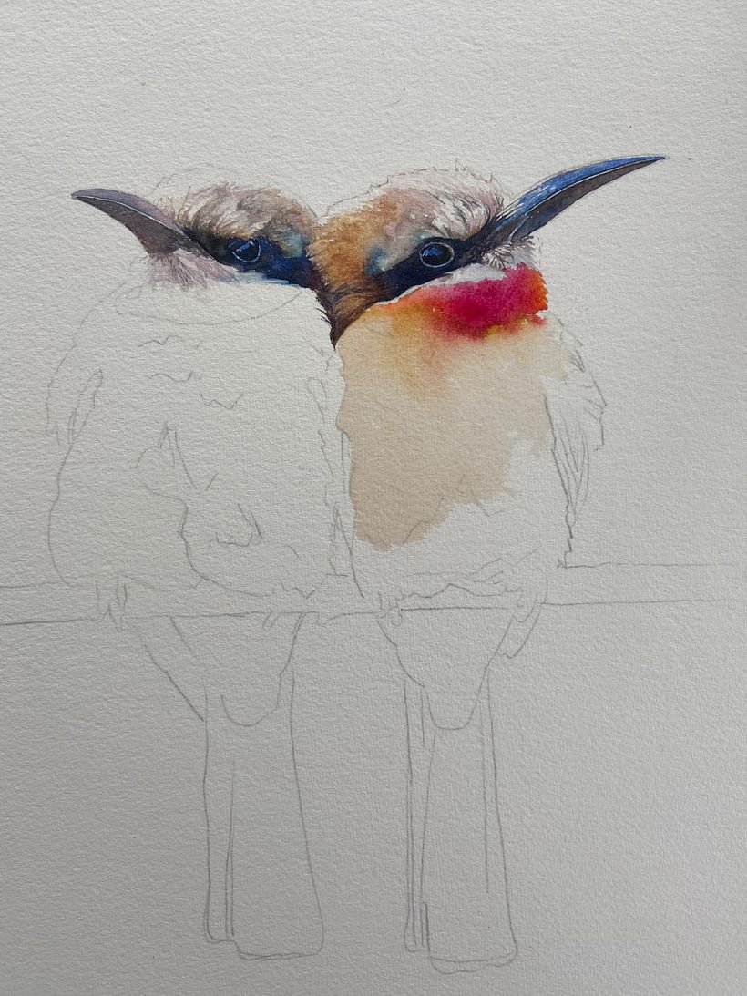 I generally always paint onto dry paper and then let the colours bleed into each other, encouraging them with extra water