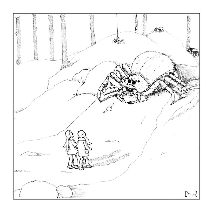 2. Spiders