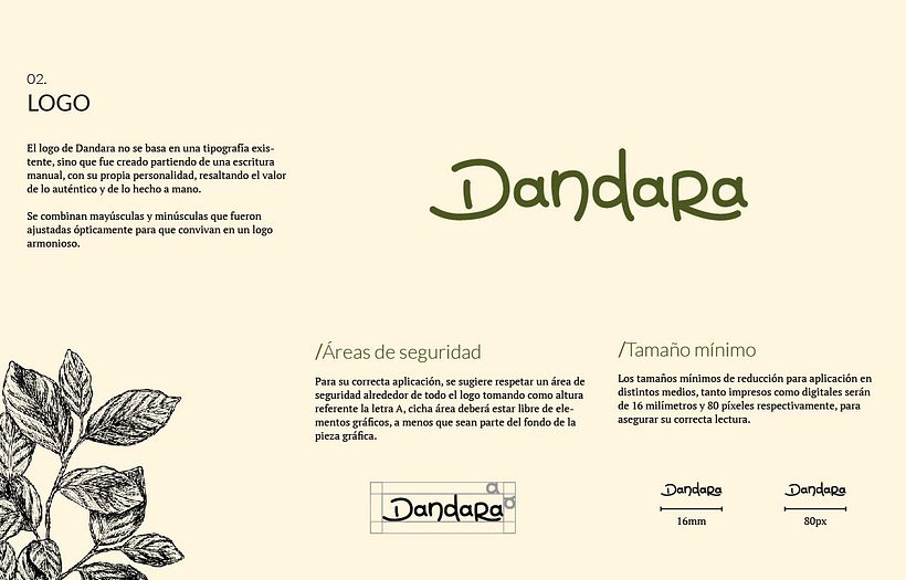 Desarrollo de identidad DANDARA 5