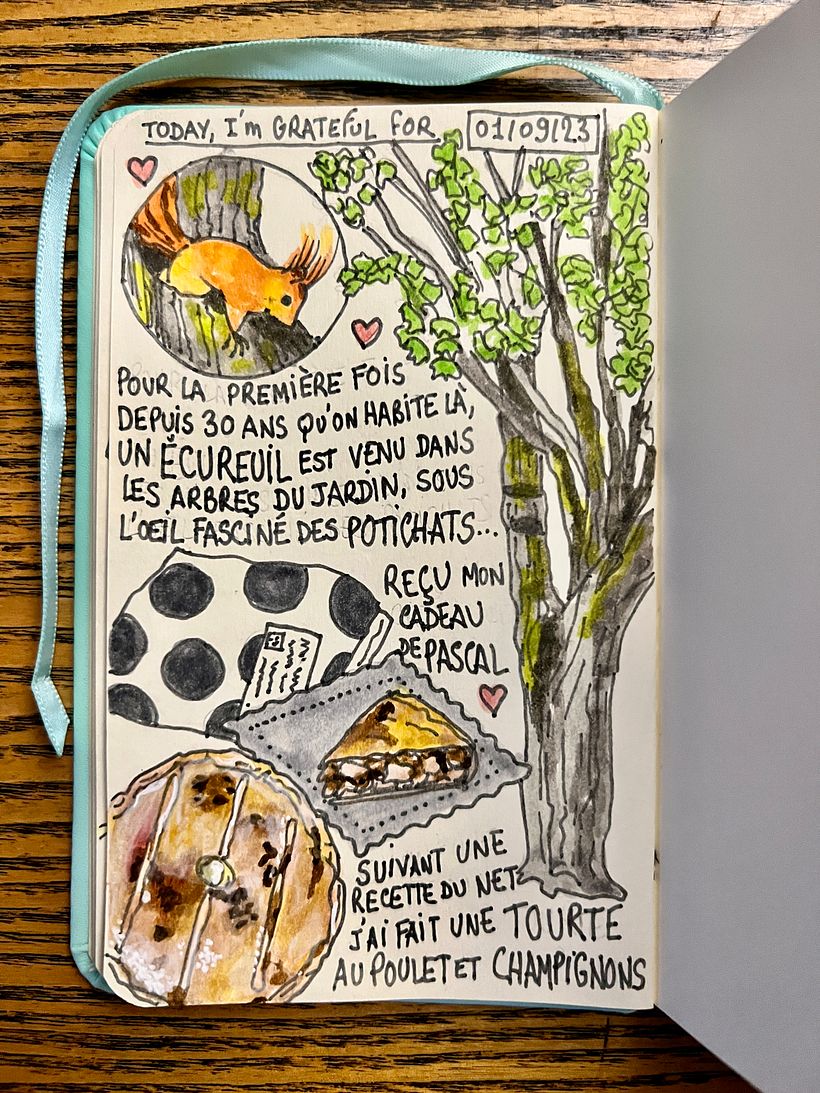 A squirel came into our trees for the first time ever, our Potichats were entranced ! I baked a lovely pie from the net.