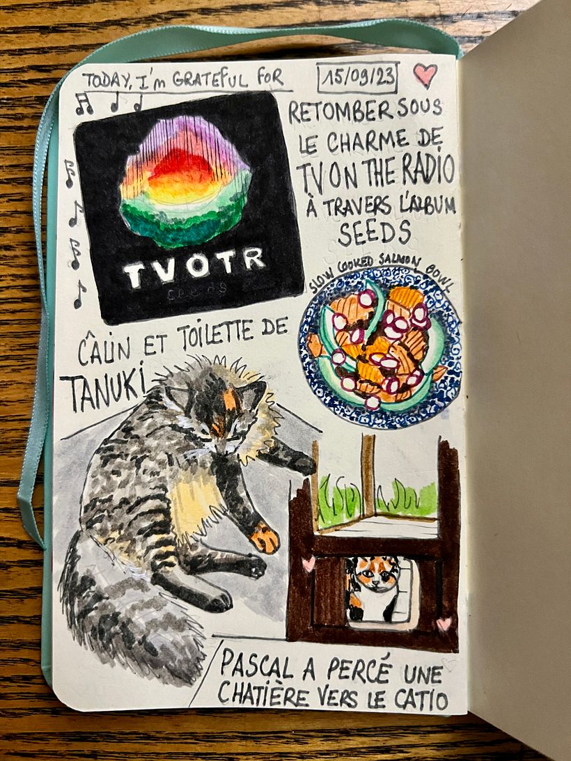 I listened to Seeds by TV On The Radio, cuddled Tanuki while my husband pierced a cat door to the catio, made Salmon Bowl