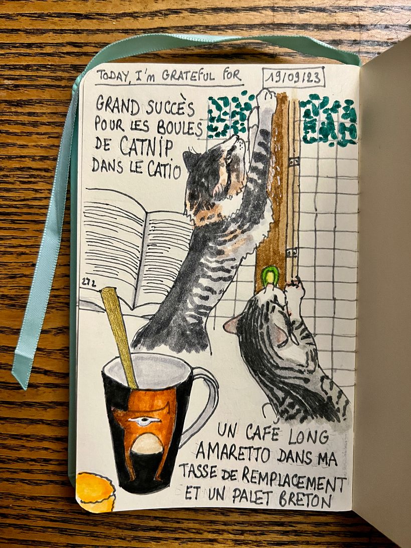 We installed catnip balls in the catio and it was the big attraction for Potichats <3 I have Amaretto coffee in another cup