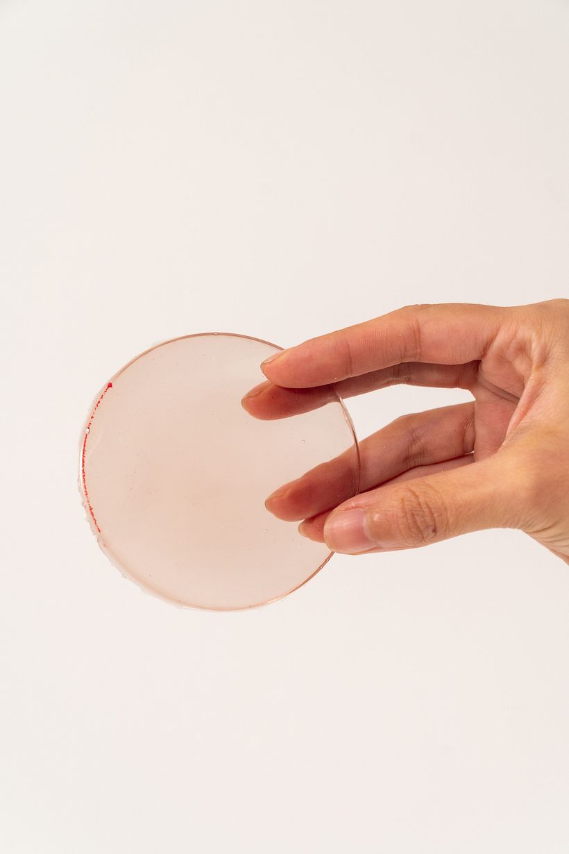 Bioplastico a base de gelatina color natural col lombarda / Bioplastic based on gelatin natural colored cabbage red cabbage