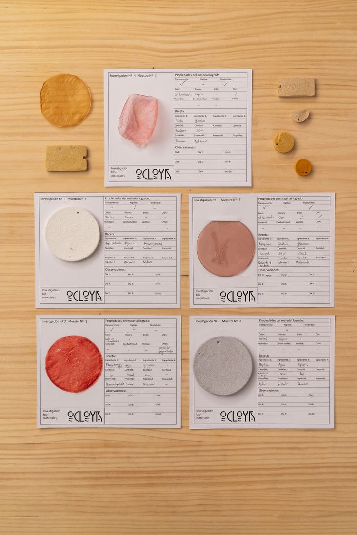 Final project: 5 final samples (3 bioplastics and two biocomposites) 