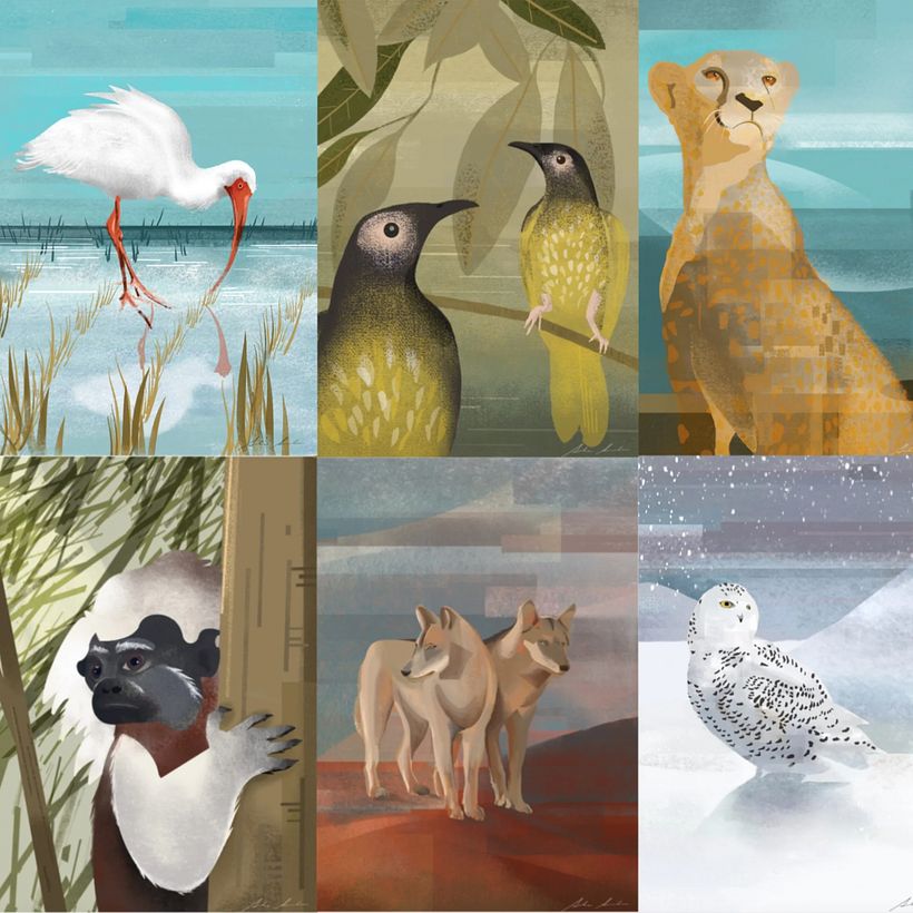 Top 5: Los mejores proyectos del mes de septiembre 12