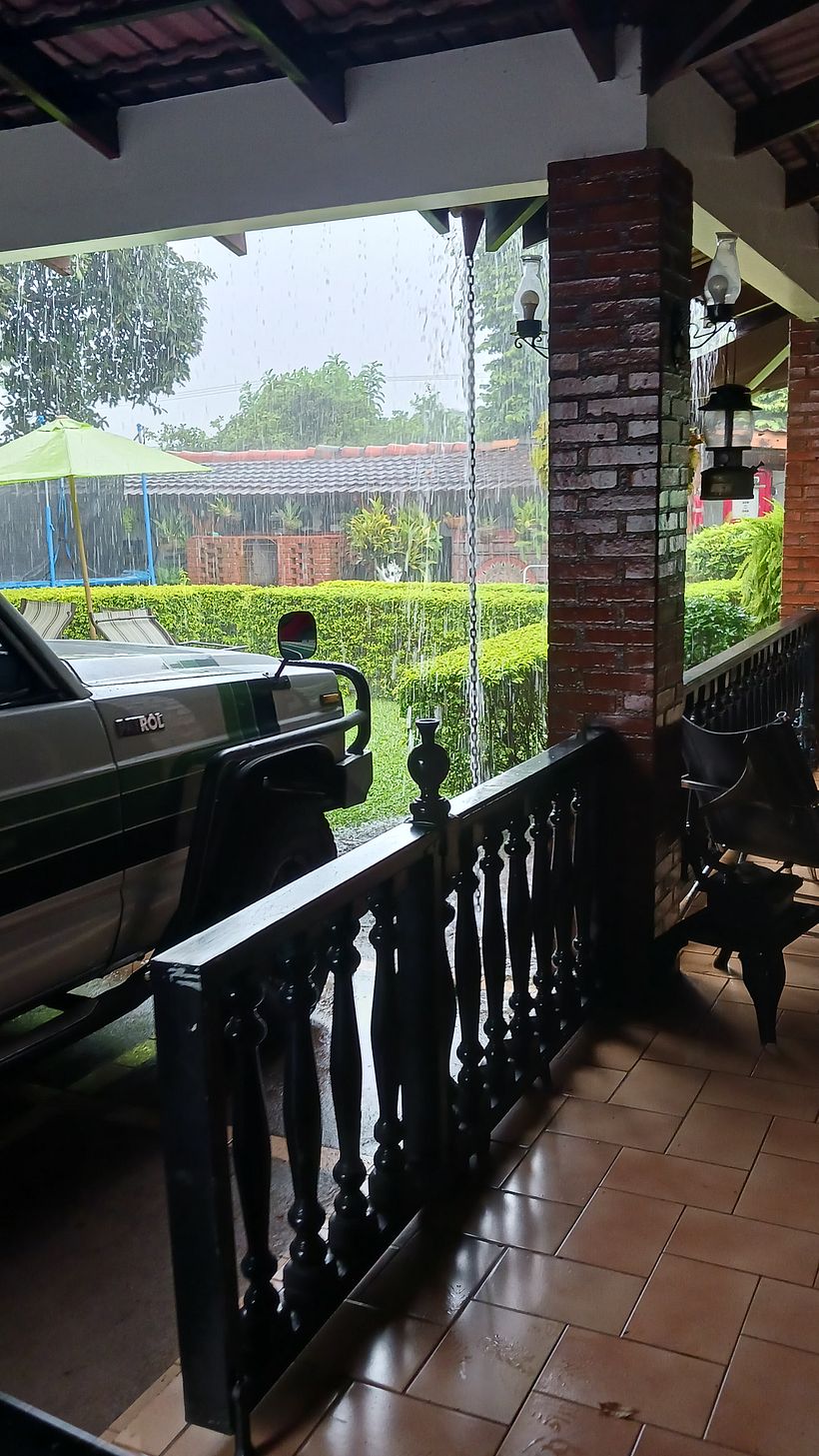 Para las fotos tuvimos una luz difusa y muy blanca por la lluvia