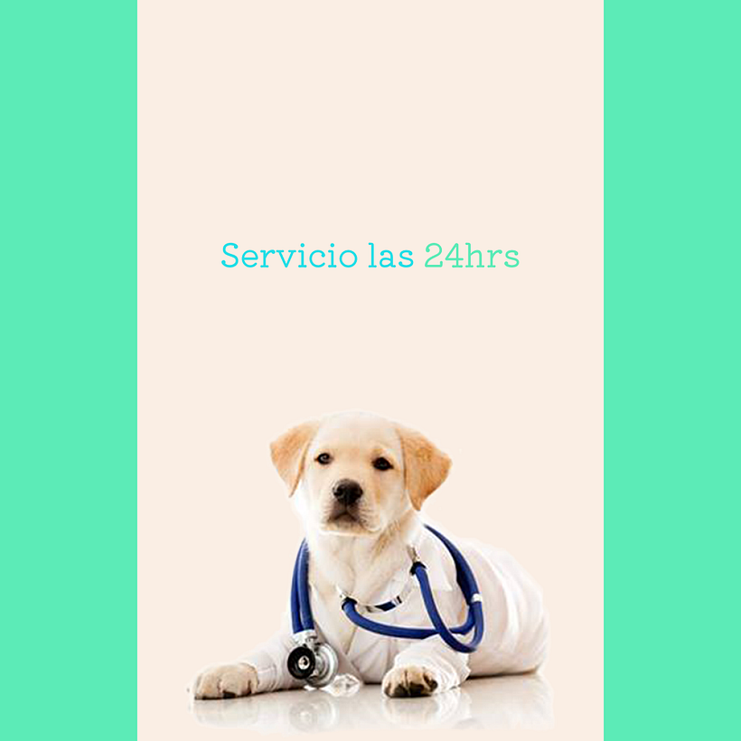 post 3
