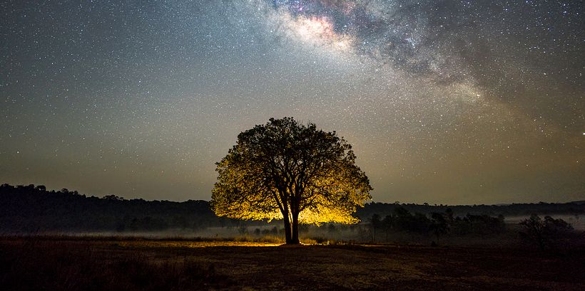 14 Types of Photography You Need To Know 5