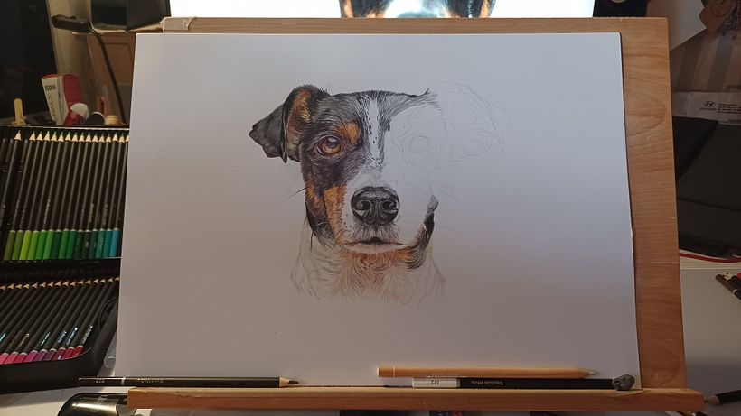 Mi proyecto del curso: Retratos de Mascotas en Lápices de Colores 2
