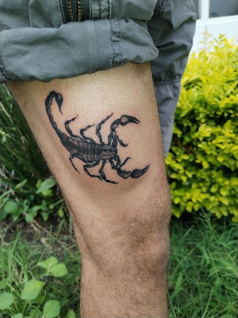 Mi proyecto del curso: Técnicas de tatuaje blackwork con línea fina 2