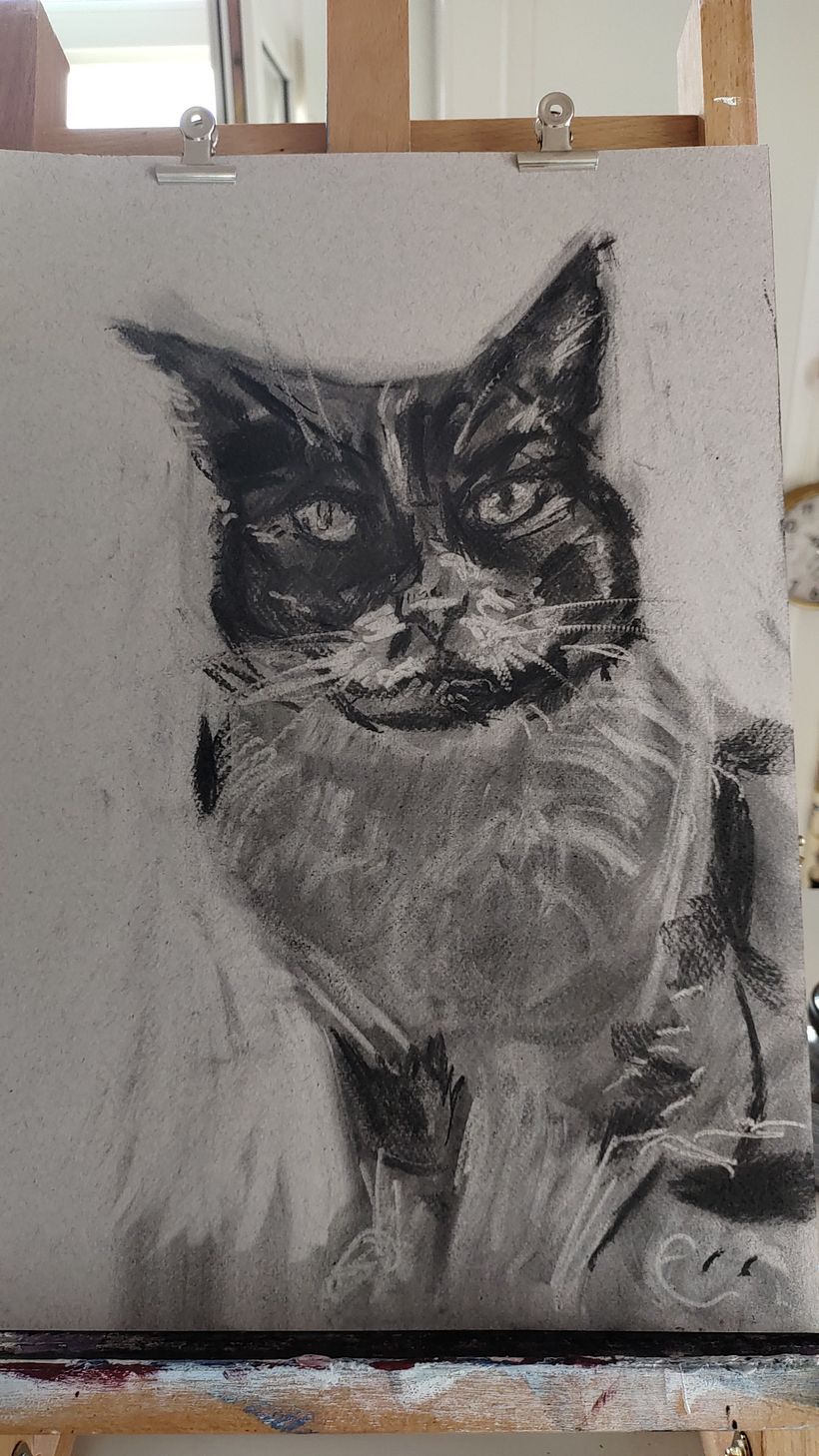 My project for course: Animal Illustration with Charcoal and Ink. Furry Family  5