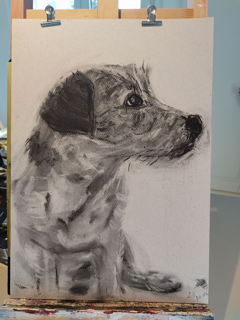 My project for course: Animal Illustration with Charcoal and Ink. Furry Family  7