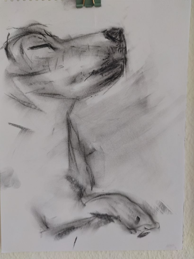 My project for course: Animal Illustration with Charcoal and Ink. Furry Family  8
