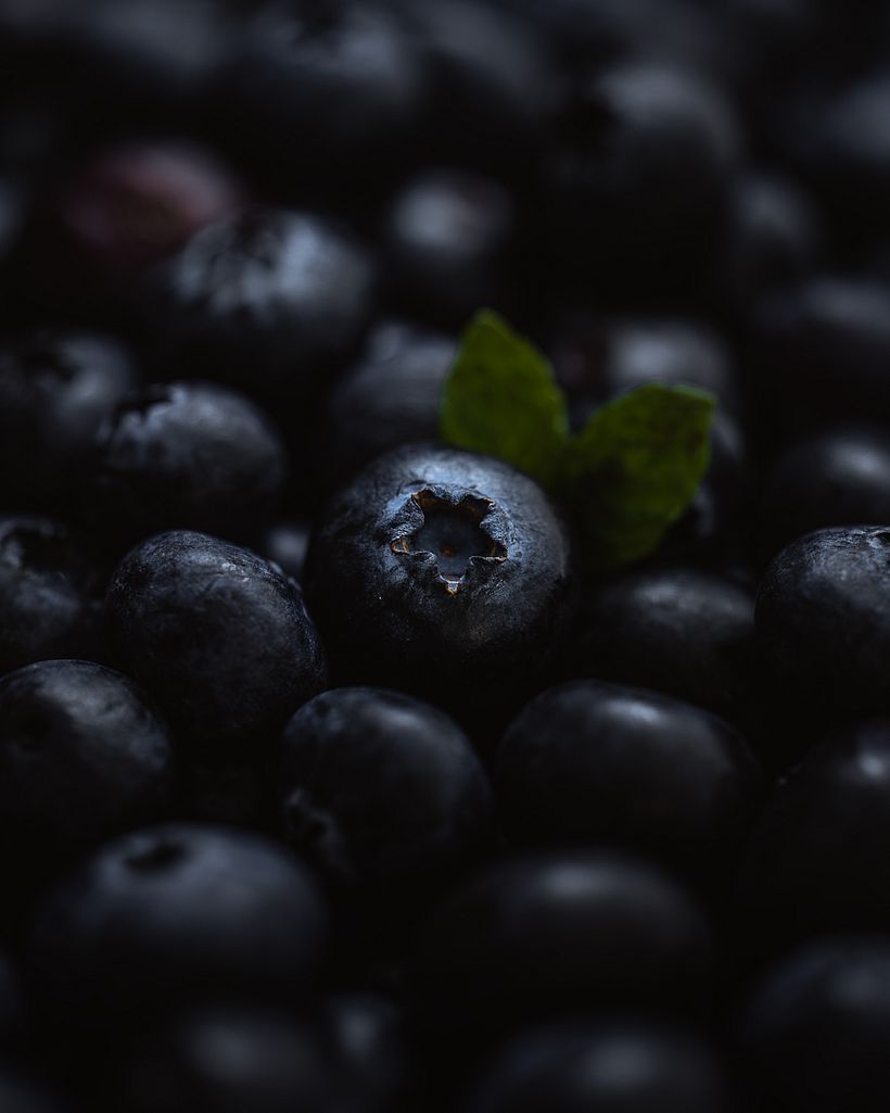 Shot Macro