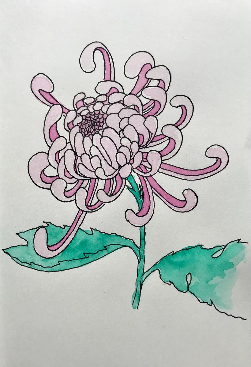Day 8, Flower, Chrysanthemum