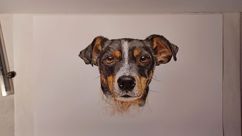Mi proyecto del curso: Retratos de Mascotas en Lápices de Colores 2