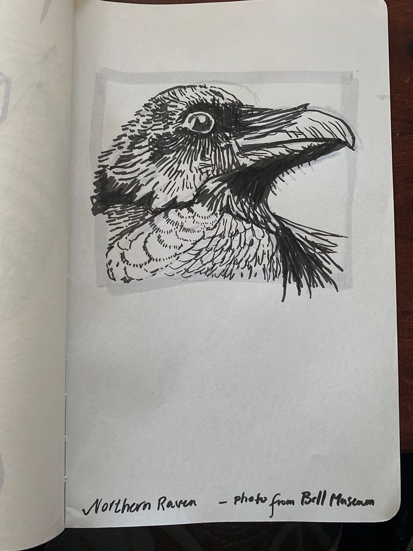 30 day sketchbook  3