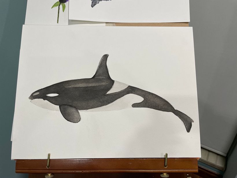 Mi proyecto del curso: Técnicas de ilustración naturalista: ballenas en acuarela 3