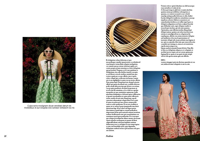 My project for course: Editorial Design 101 12