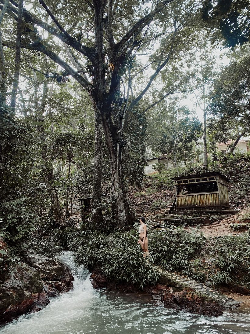 Connection with nature