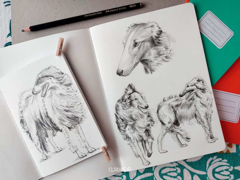 Raza de perro: Borzoi - Libreta Hahnemuhle Sketch & Note, tamaño A6 y A5.