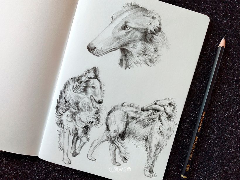 Raza de perro: Borzoi - Libretas Hahnemuhle Sketch & Note, tamaño A5.