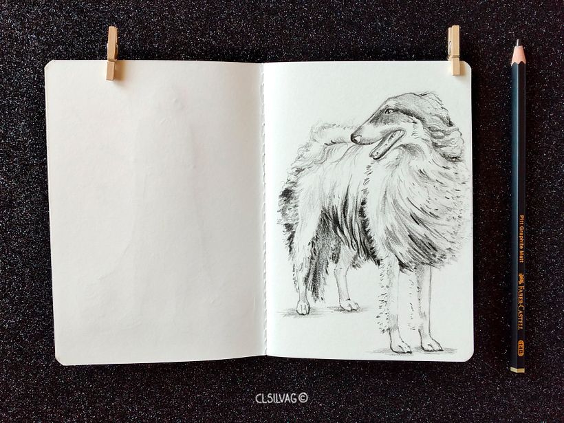 Raza de perro: Borzoi - Libretas Hahnemuhle Sketch & Note, tamaño A6.