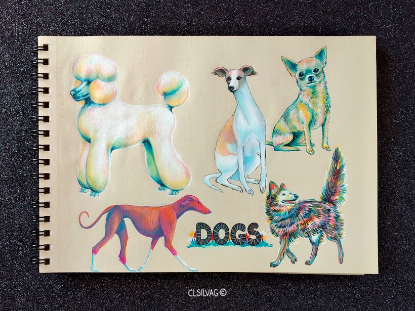 Diversas razas de perros - Croquera Canson Kraft.