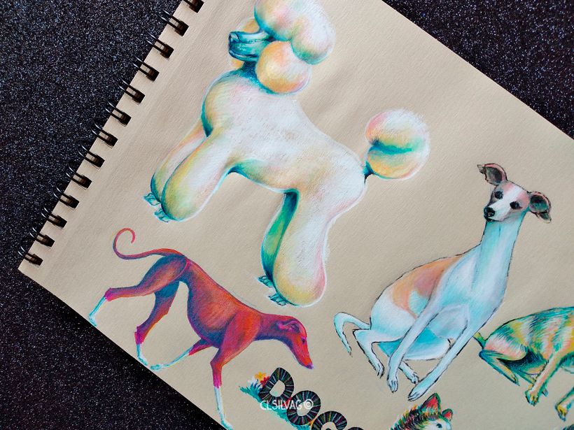 Diversas razas de perros - Croquera Canson Kraft.